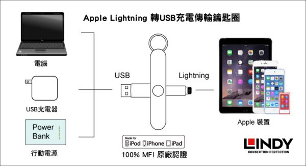 KEYCHAIN APPLE, TYPE A TO LIGHTNING MFI CERTIFIED, GREY - Image 4