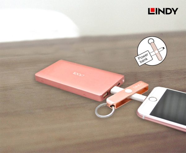KEYCHAIN APPLE, TYPE A TO LIGHTNING MFI CERTIFIED, SPACE GREY - Image 4