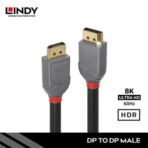Kabel DisplayPort 1.4, DisplayPort to DisplayPort, Anthra, 1M