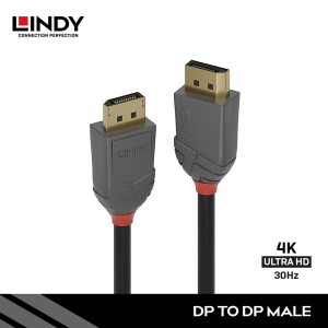 Kabel Displayport, Displayport to Displayport, Anthra 15M