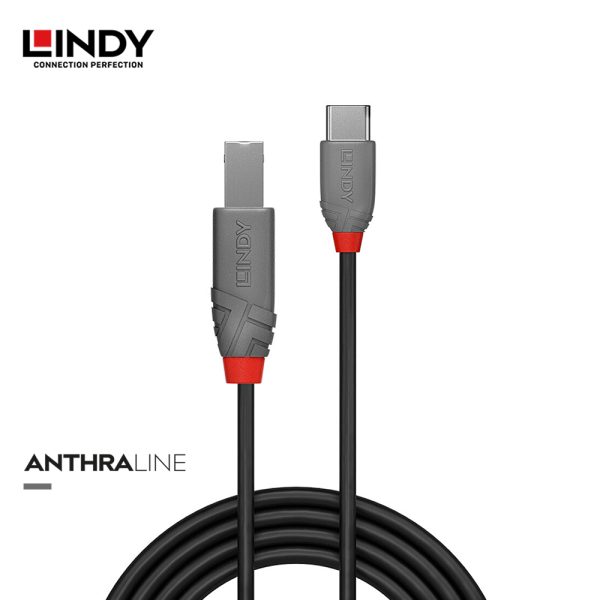 Kabel USB 2.0, Type C to Type B, Anthra, 3M - Image 2
