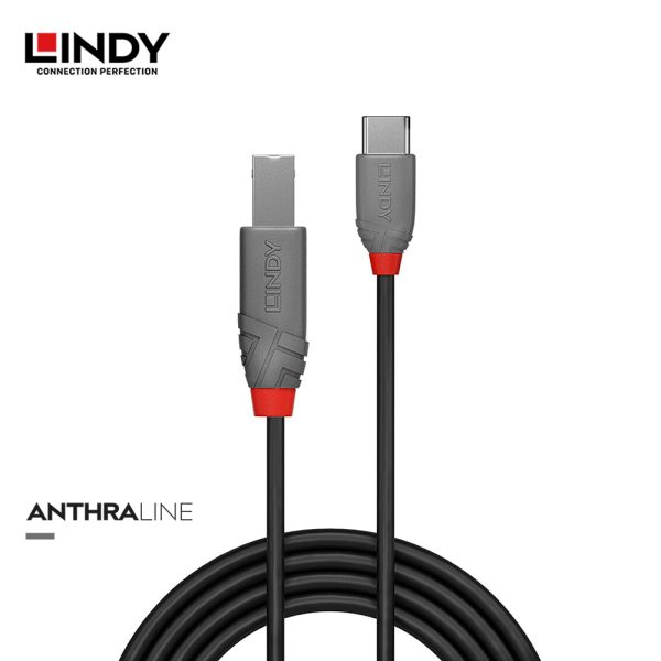  Kabel USB 2.0, Type C to Type B, Anthra, 0.5M - Image 2