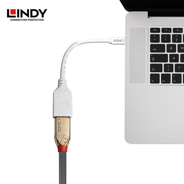 KABEL ADAPTER DISPLAYPORT 1.3, MINI DISPLAYPORT TO DISPLAYPORT - Image 2