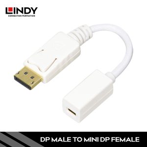 Adapter DisplayPort 1.2, DisplayPort to mini DisplayPort