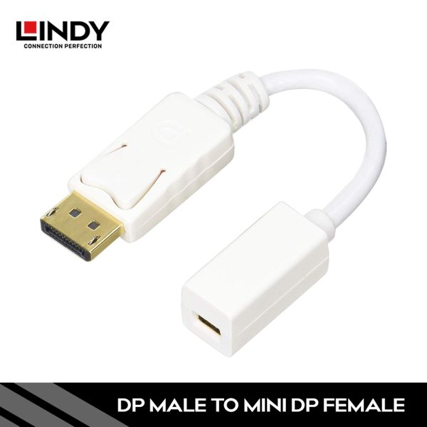 Adapter DisplayPort 1.2, DisplayPort to mini DisplayPort