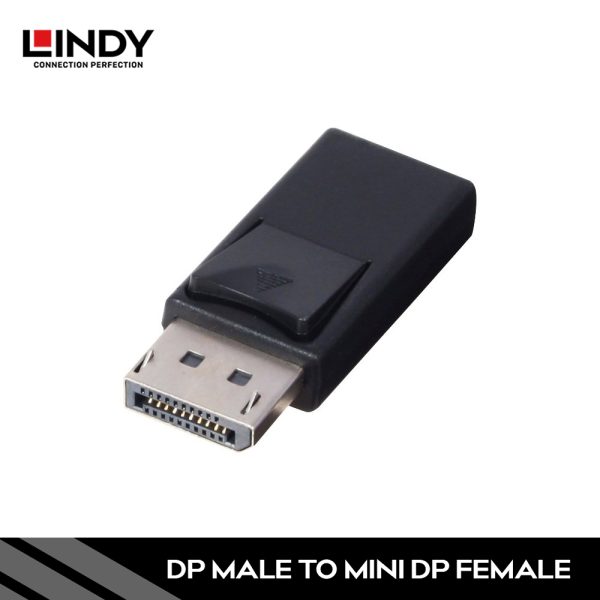 Mini DisplayPort to DisplayPort Adapter
