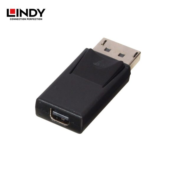 Mini DisplayPort to DisplayPort Adapter - Image 2