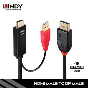 Kabel Adapter HDMI to DisplayPort, 2M