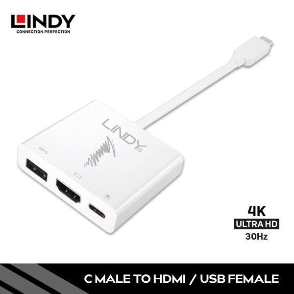 CONVERTER TYPE C TO HDMI / USB A DENGAN POWER DELIVERY