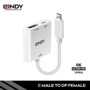 Converter Type C to DisplayPort dengan Power Delivery