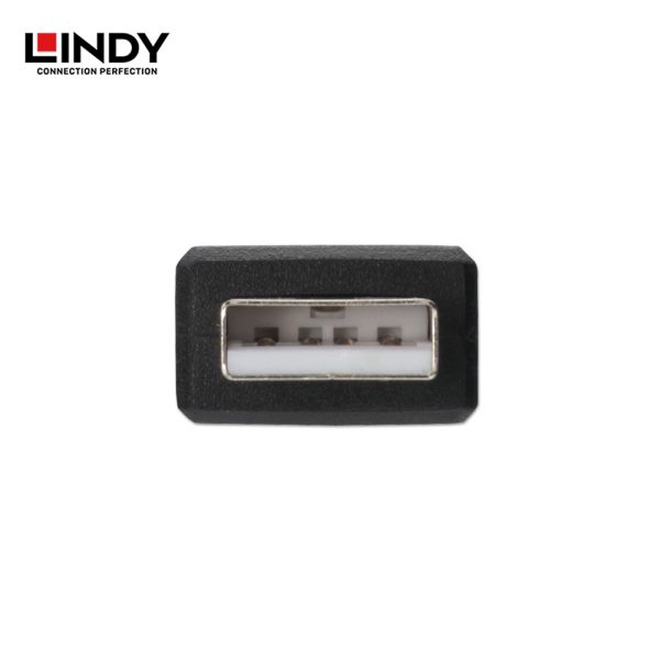 ADAPTER USB 2.0, TYPE A TO MICRO-B - Image 2