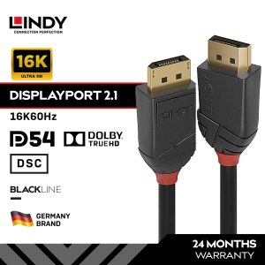 LINDY Kabel DisplayPort DP 2.1 54Gbps 16K 60Hz Pin Gold Plated Male to Male Black Line, 5 Meter